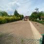 ogrodnik1