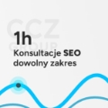 Konsultacje SEO 1h - dowolny zakres