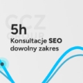 Konsultacje SEO 5h - dowolny zakres