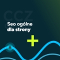 Seo ogólne dla strony (opcja rozszerzona)