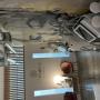 salon2