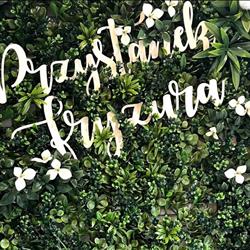 Przystanek fryzura