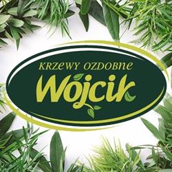 Krzewy Wójcik