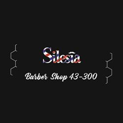 Silesia Hair Clinic & Silesia Barber Shop 43-300