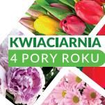 4 Pory Roku Kwiaciarnia Joanna Łucka-Rzychoń