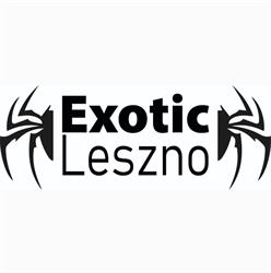 Exotic Leszno - Sklep terrarystyczny i hodowla zwierząt egzotycznych