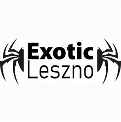 Exotic Leszno - Sklep terrarystyczny i hodowla zwierząt egzotycznych