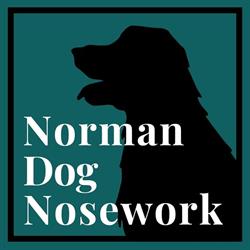 Norman Dog Nosework Wrocław