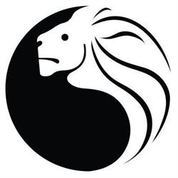 BIAŁY LEW DOJO