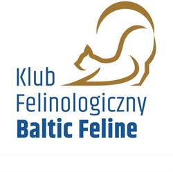 Klub Felinologiczny Baltic Feline