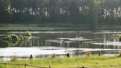 Łowisko Nad Rozlewiskiem