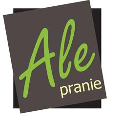 Alepranie pranie tapicerki łódź