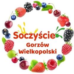 Soczyście Gorzów Wielkopolski