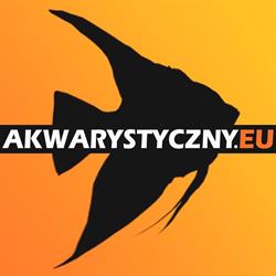 akwarystyczny.eu