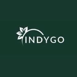 Gabinet Indygo