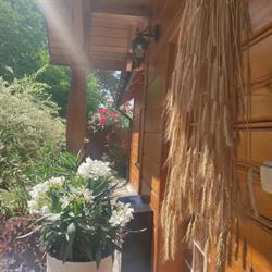 Apartamenty Kazimierz Dolny Sielskoanielsko
