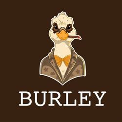 Burley Lounge - Shisha bar