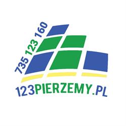 123 PIERZEMY Karcher usługi pranie i czyszczenie tapicerki meblowej, samochodowej oraz wykładzin