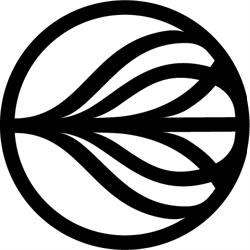 DermaLimfa