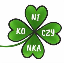 Koniczynka sala zabaw