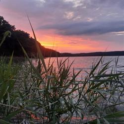 Pole biwakowe Natura Tuczno Drugie