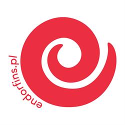 endorfins - organizacja imprez dla dzieci