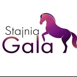 Gospodarstwo Agroturystyczne Stajnia Gala