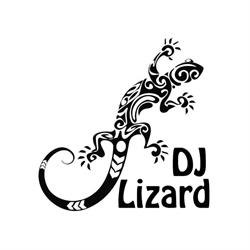 DJ Lizard - dj na wesele lublin, dj lublin, dj wodzirej lublin, dj lubelskie