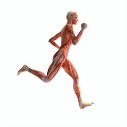 FIZJO-MED FIZJOTERAPIA JOANNA SOBIESZEK SKIERNIEWICE