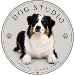 Dog Studio Kraków