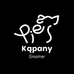 Pies Kąpany Groomer Psi Fryzjer