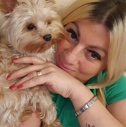 Salon Dog Style by Moni & Molly