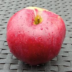 Owocomat