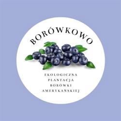 Borówkowo Węgrowski