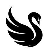 Black Swan Paweł Trzciński