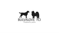 Bulvalove FCI