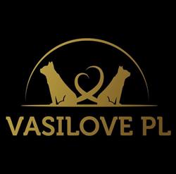 Wielkopolska Hodowla Kotów Rasowych Vasilove*pl