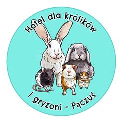 Pączuś hotel dla królików i gryzoni
