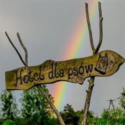 Hotel dla psów i kotów "U Misi"