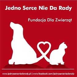 Jedno Serce Nie Da Rady