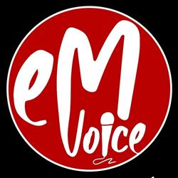 Fabyka Talentów eM - VOICE