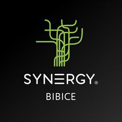 Studio Synergy - Trening EMS - Bibice