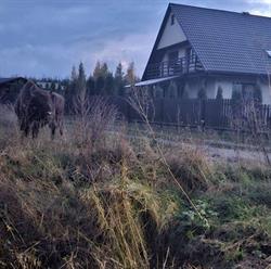Agroturystyka Wrzos