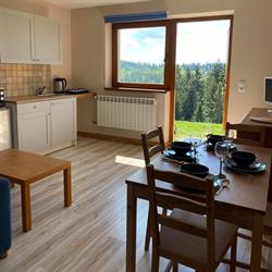 Apartament w górach Gorce