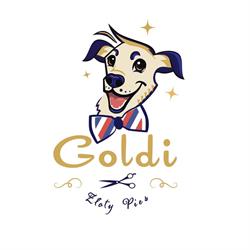 Goldi złoty pies - groomer