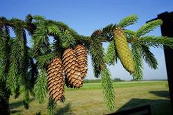 Stolarmeb.pl
