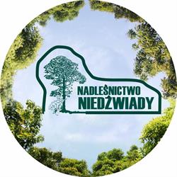 Nadleśnictwo Niedźwiady w Przechlewie