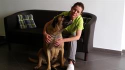 Gabinet Weterynaryjny "Doktor Vet"