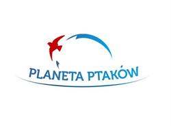 Planeta Ptaków. Wojtanowska K.