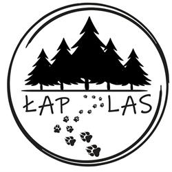 Łap Las Wiktorowo